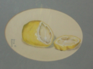 Scent of Lemons   by Janet Triplett